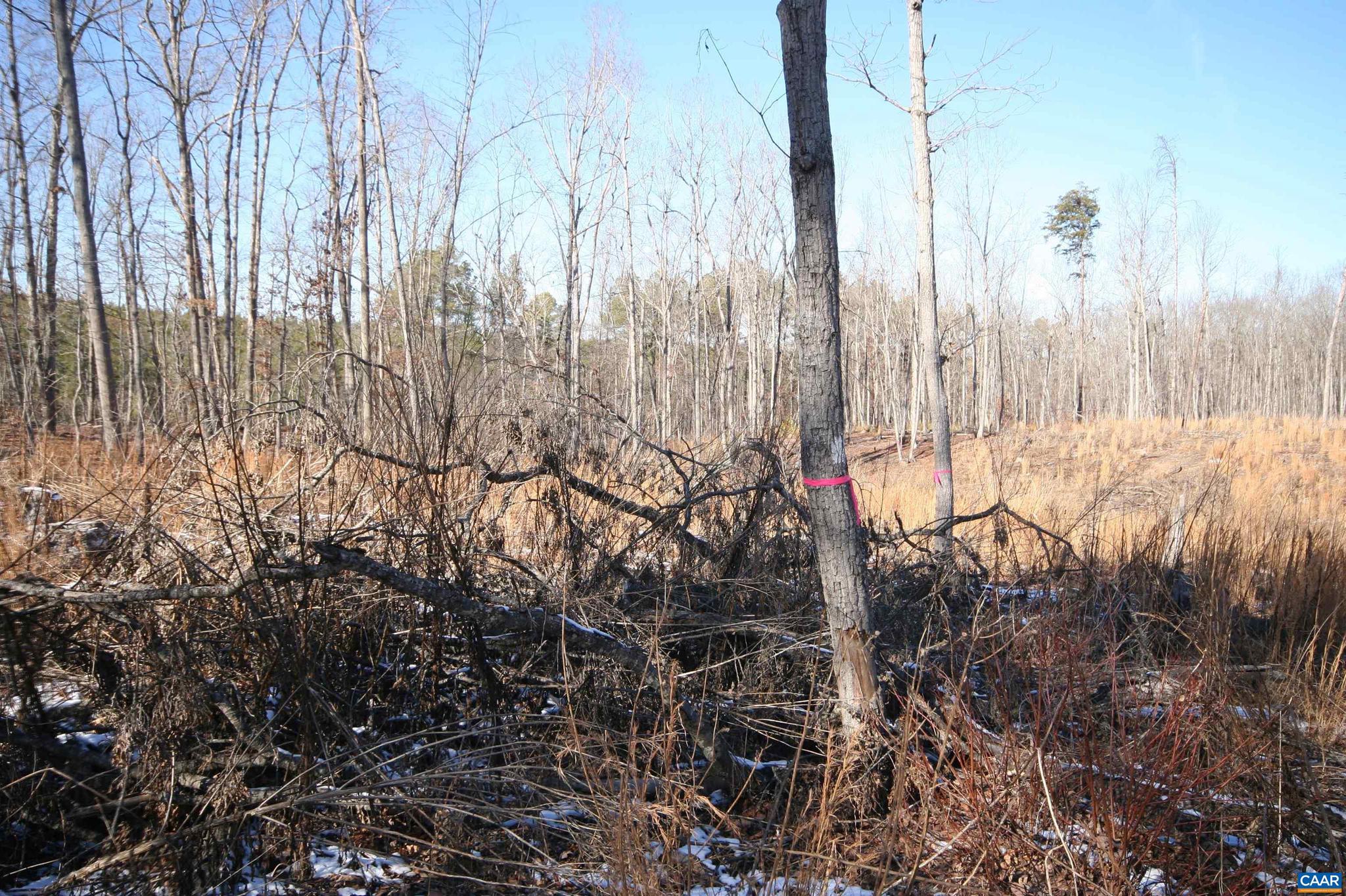 Tba Slate River Mill Road, Unit 2 17 AC SLATE RIVER Dillwyn, VA 23936 - Photo 18 of 27 Gallery Image 18