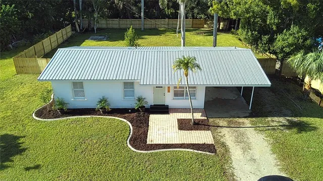 a view of a backyard with plants and a large tree