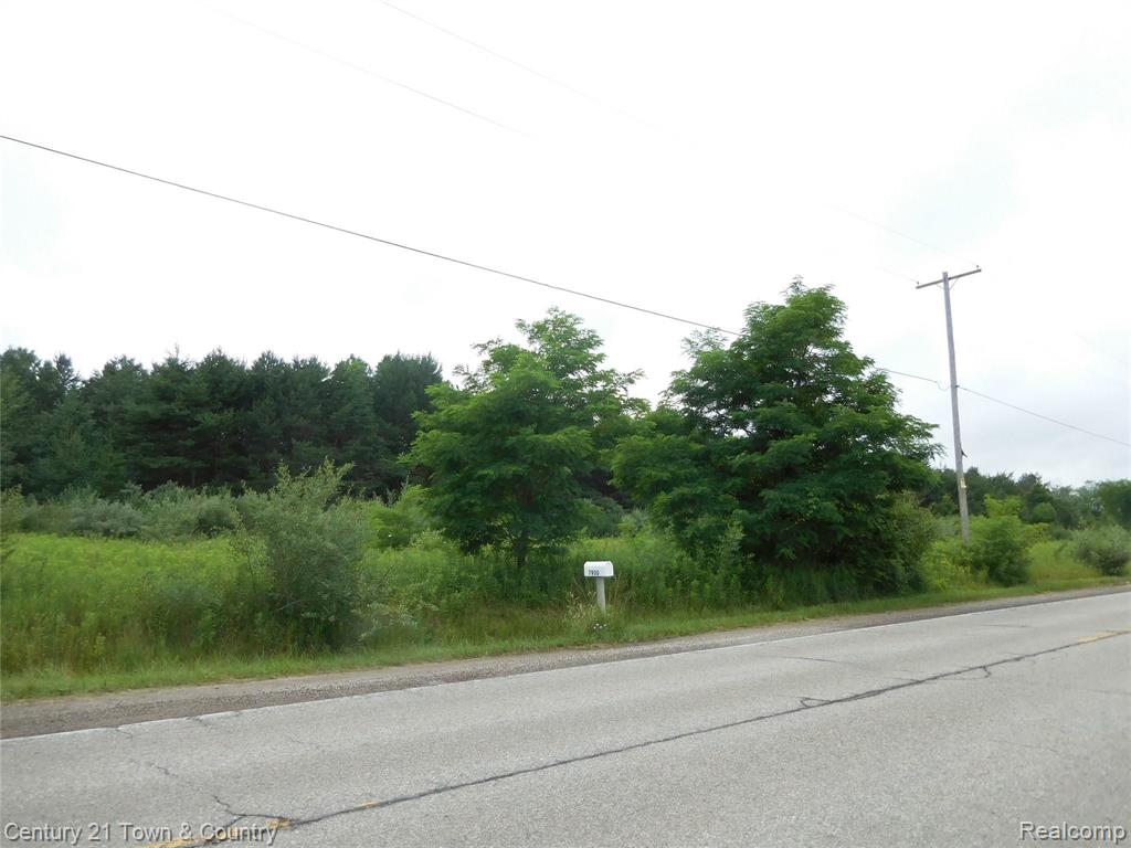 7929 Meisner Road Casco, MI 48064 - Photo 3 of 12