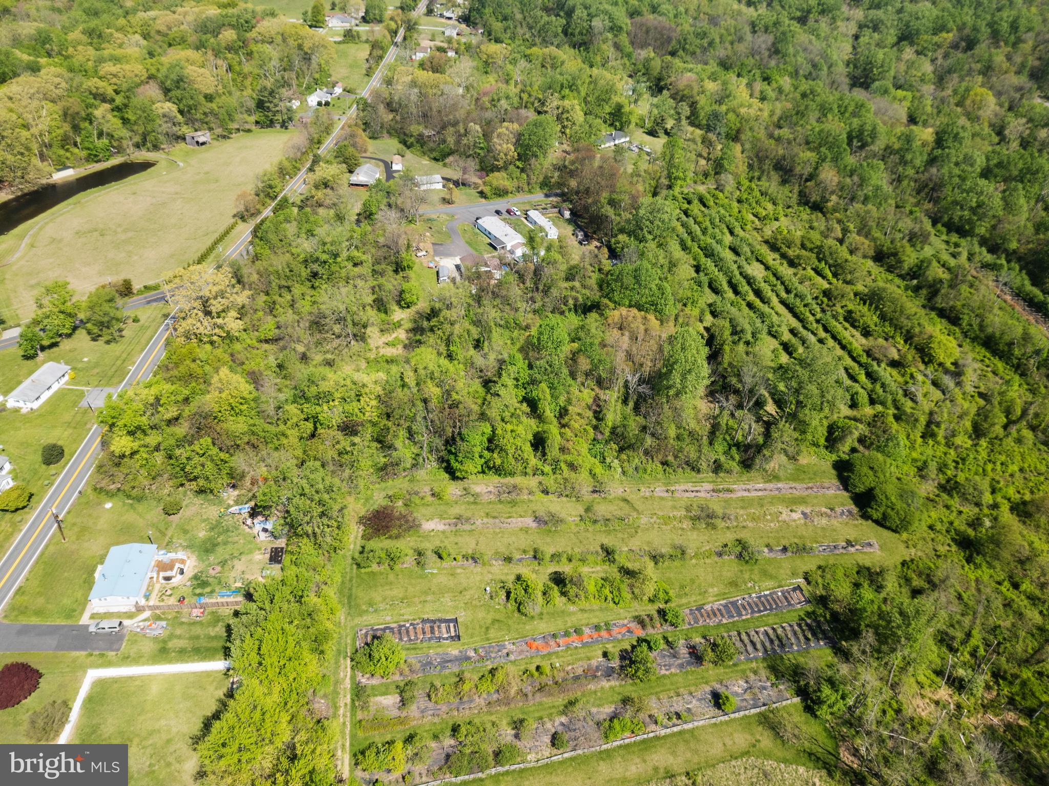 2302 Castleton Road Darlington, MD 21034 - Photo 4 of 14 a view of a yard with plants and large trees