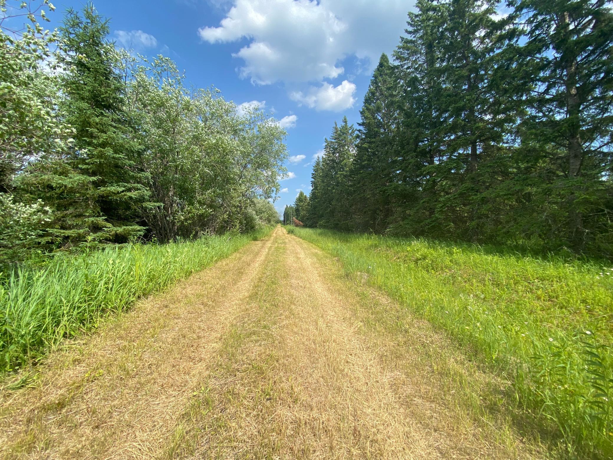 8848 Range Line Road Angora, MN 55703 - Photo 1 of 1