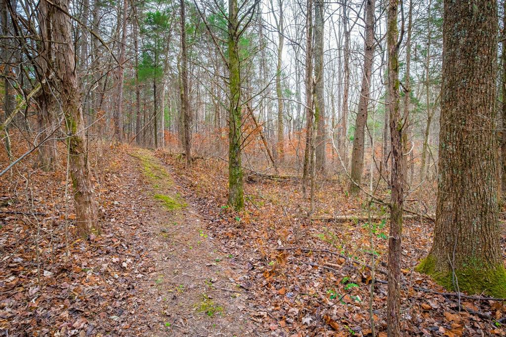 0 Christiansburg Road Columbus, IN 47201 - Photo 14 of 21