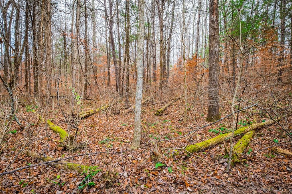 0 Christiansburg Road Columbus, IN 47201 - Photo 15 of 21