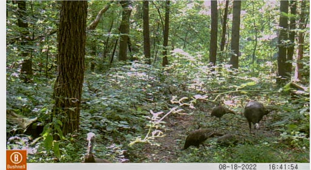 0 Christiansburg Road Columbus, IN 47201 - Photo 20 of 21