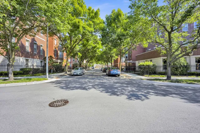 a view of street with large trees