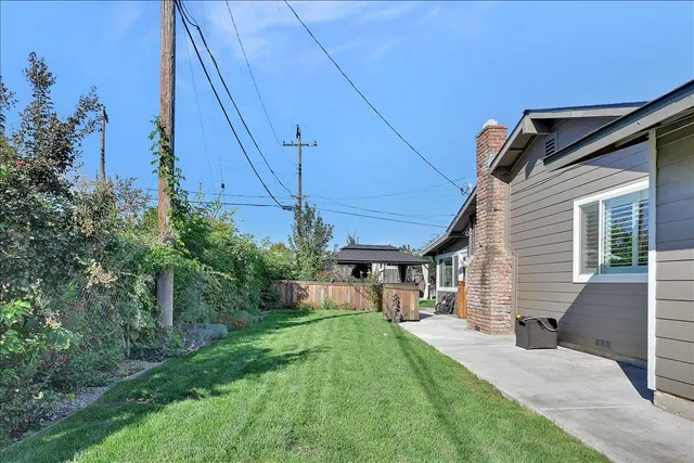 a view of grapes plant