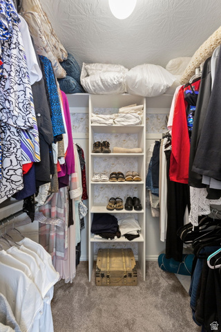 1225 North Dixie Downs Road, Unit 161 St. George, UT 84770 - Photo 13 of 21 Walk-in closet featuring carpet flooring, built-in shelving, and hanging rods