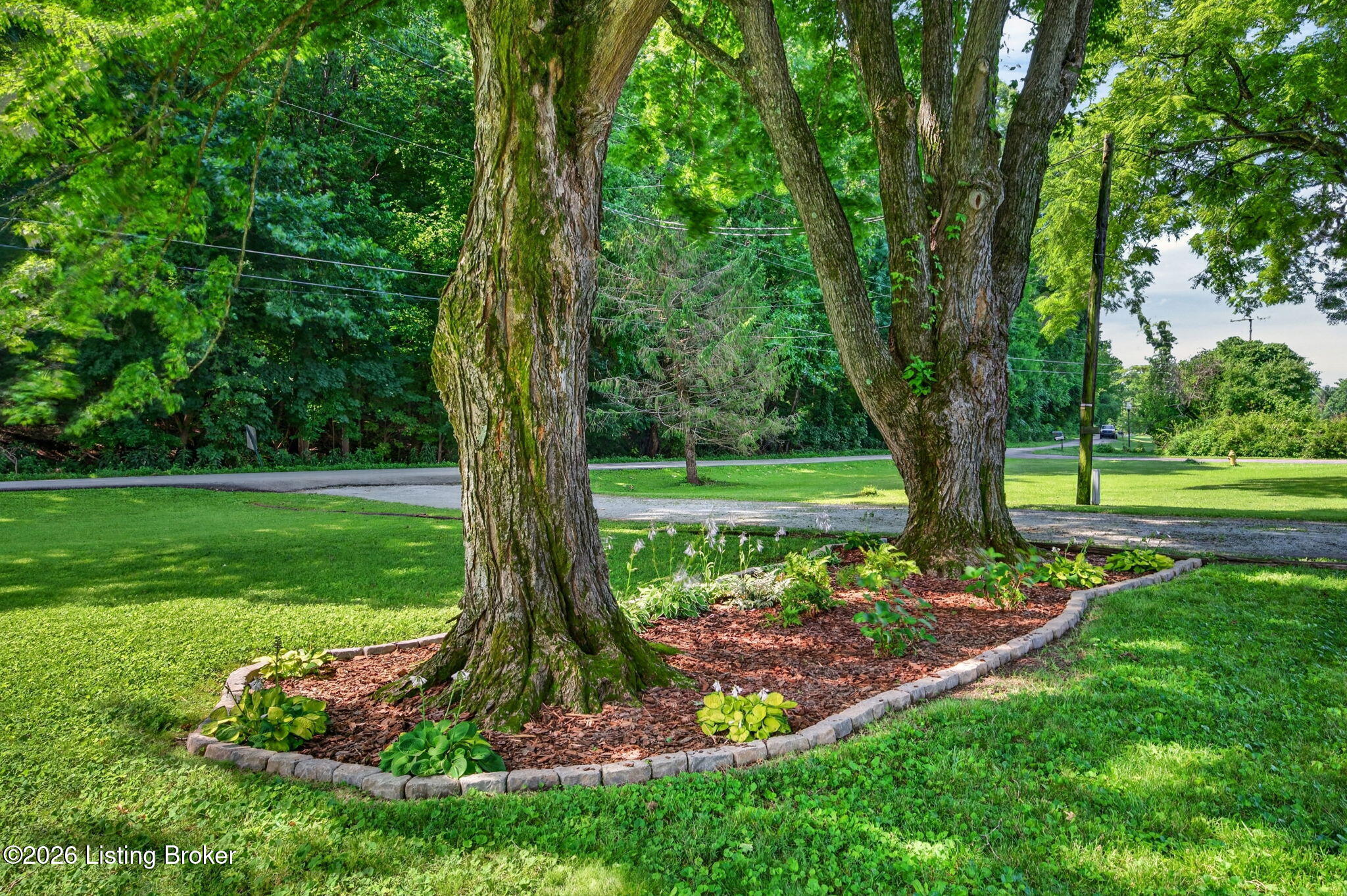2104 North Rose Island Road Prospect, KY 40059 - Photo 49 of 57 Mature trees anchor a landscaped bed near the driveway entrance