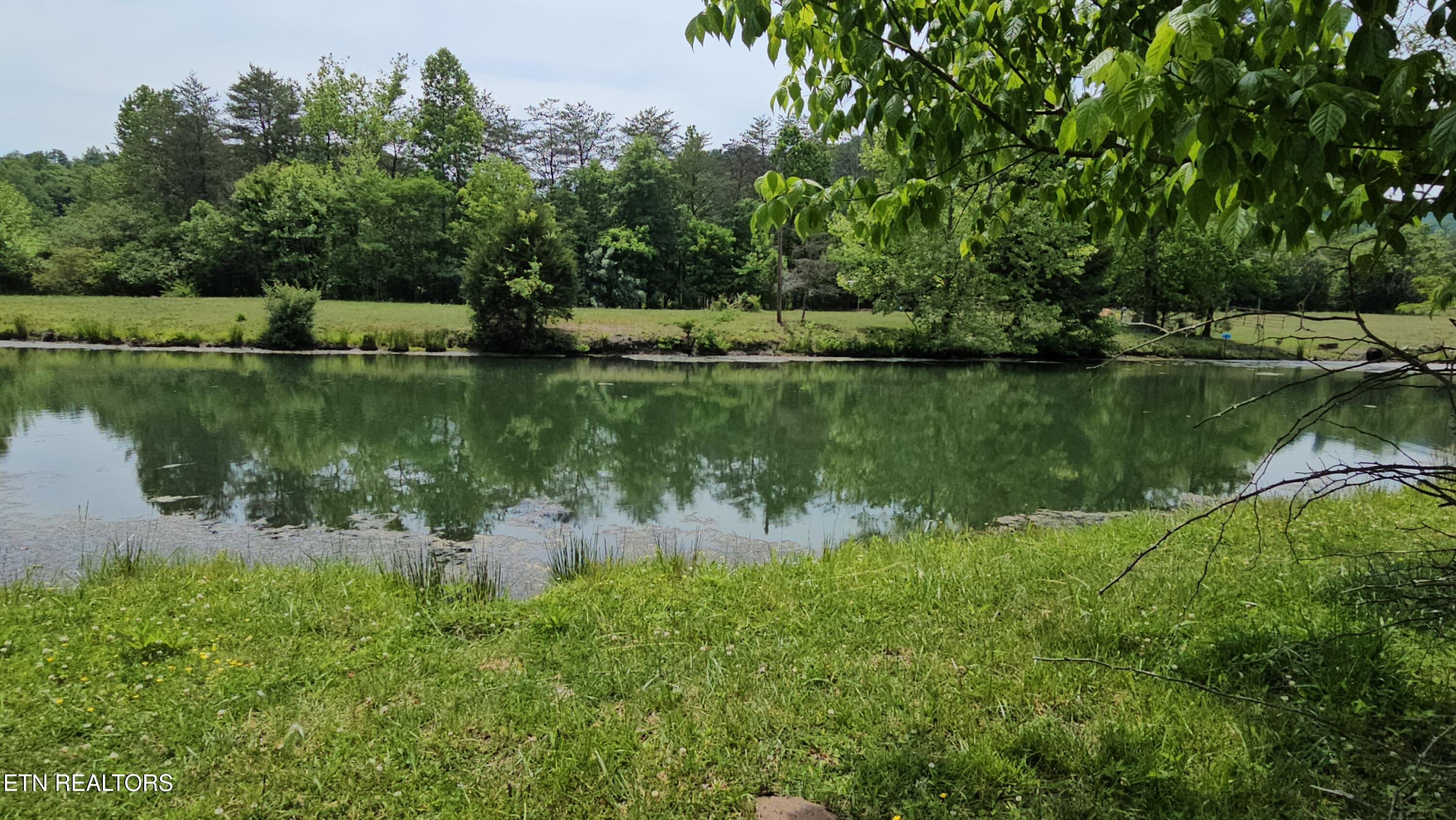 275 Republican Hill Road Newcomb, TN 37819 - Photo 7 of 34 Pond