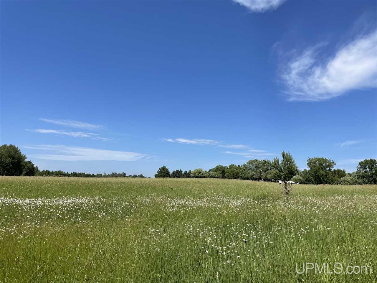 1248 17th Road Bark River, MI 49807 - Photo 12 of 34 Gallery Image 12