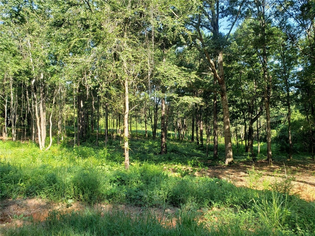 2480 Judge Brown Road Valley, AL 36854 - Photo 5 of 6 Gallery Image 5