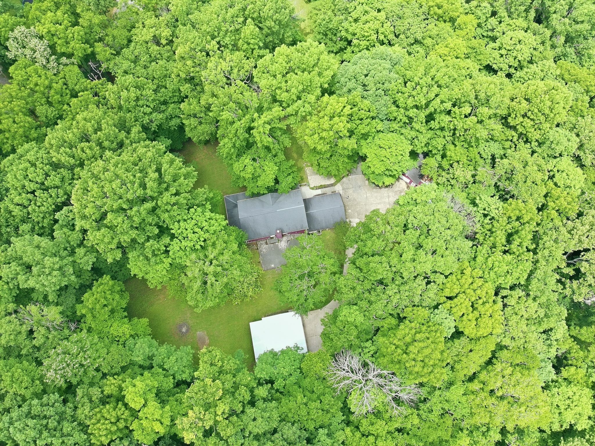 867 Mt Olivet Road Columbia, TN 38401 - Photo 66 of 71 Gallery Image 66