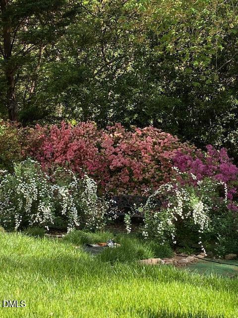 1302 Kingston Ridge Road Cary, NC 27511 - Photo 7 of 45 Kingston Ridge flowers 3