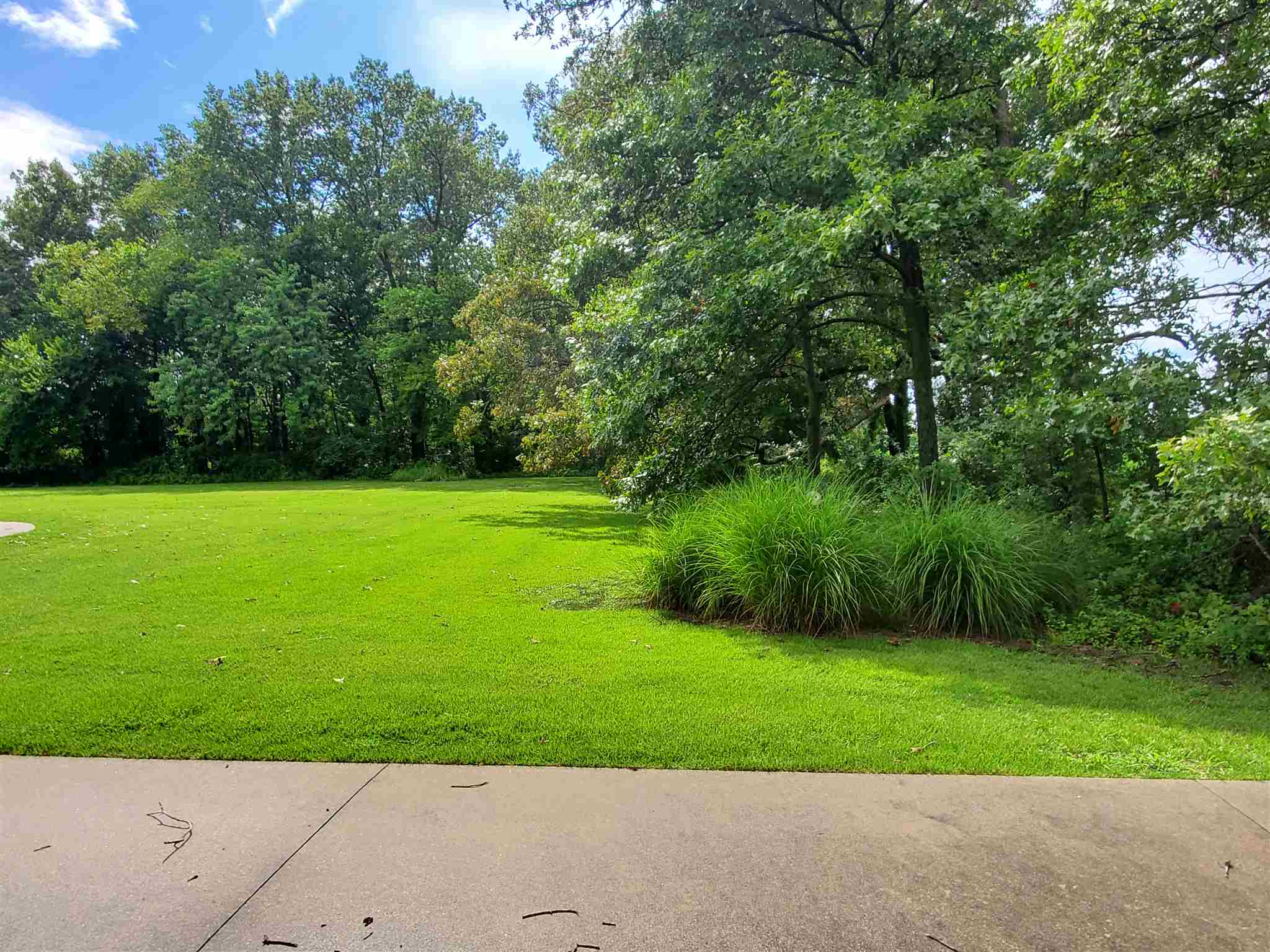 112 Consol Road Elkville, IL 62932 - Photo 6 of 39