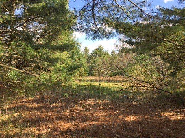 On Hall Road, Unit LOT 2 Woodruff, WI 54568 - Photo 10 of 12 Gallery Image 10