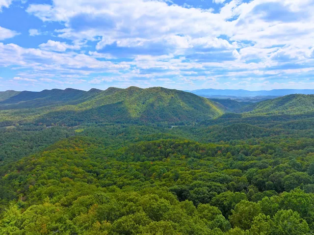 $98,000 | Tbd Dry Gulch Road, Wytheville, VA 24382