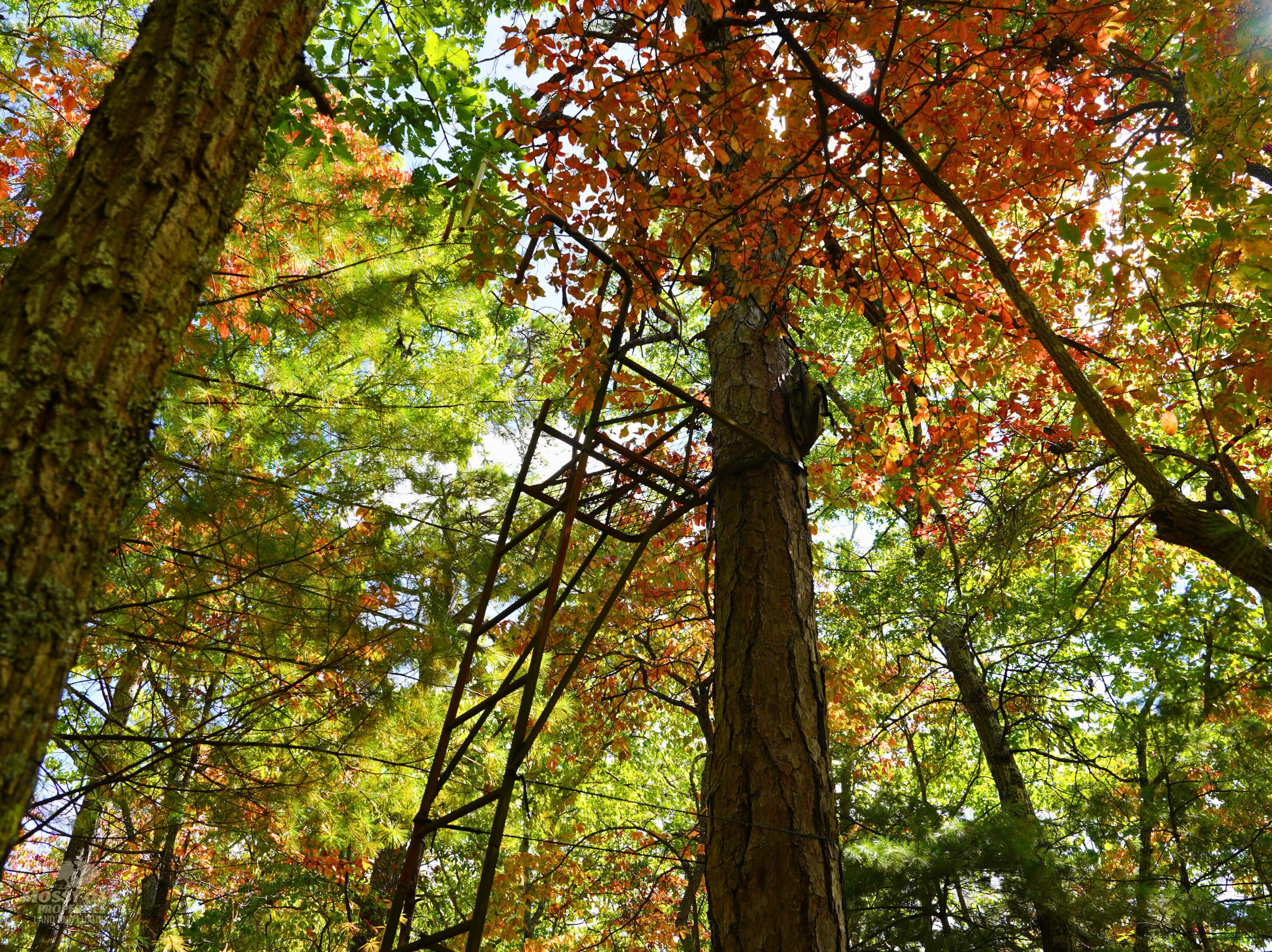 Tbd Dry Gulch Road Wytheville, VA 24382 - Photo 12 of 21 19