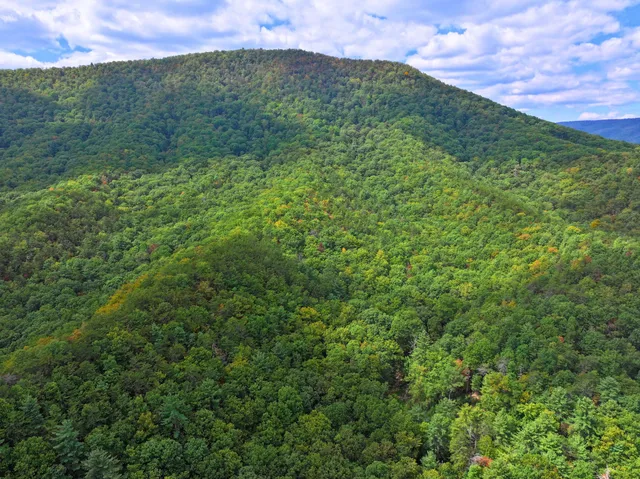 $98,000 | Tbd Dry Gulch Road, Wytheville, VA 24382