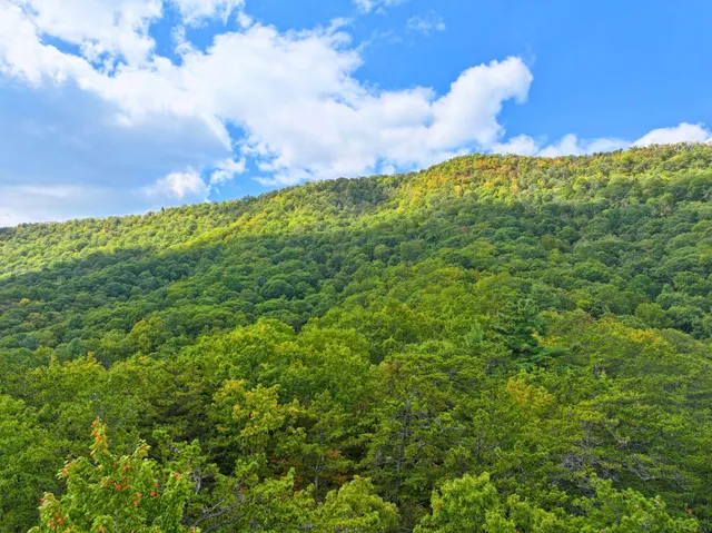 $98,000 | Tbd Dry Gulch Road, Wytheville, VA 24382