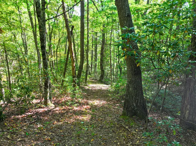 $98,000 | Tbd Dry Gulch Road, Wytheville, VA 24382