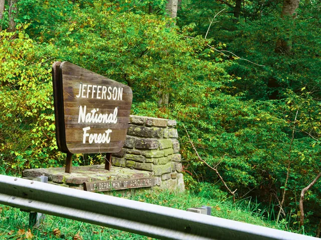 $98,000 | Tbd Dry Gulch Road, Wytheville, VA 24382