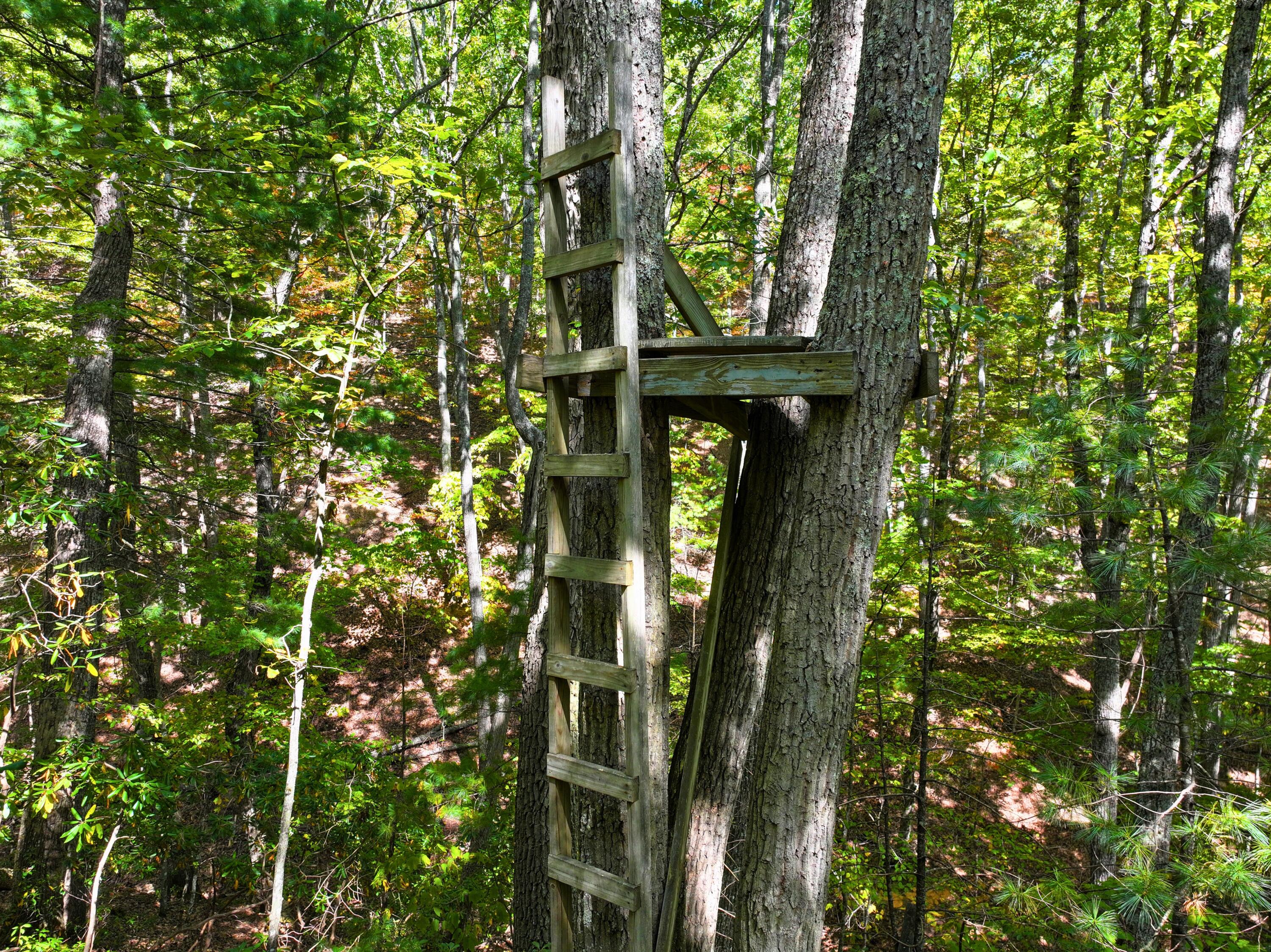 Tbd Dry Gulch Road Wytheville, VA 24382 - Photo 5 of 21 7