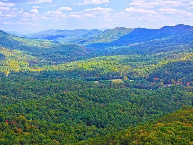 $98,000 | Tbd Dry Gulch Road, Wytheville, VA 24382