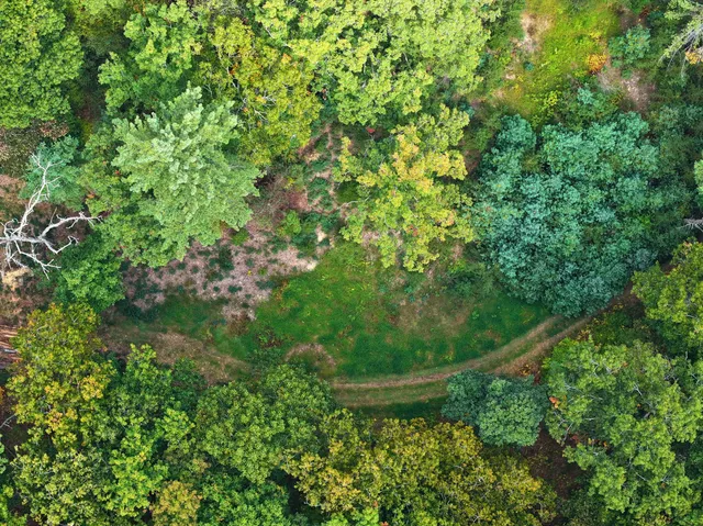 $98,000 | Tbd Dry Gulch Road, Wytheville, VA 24382