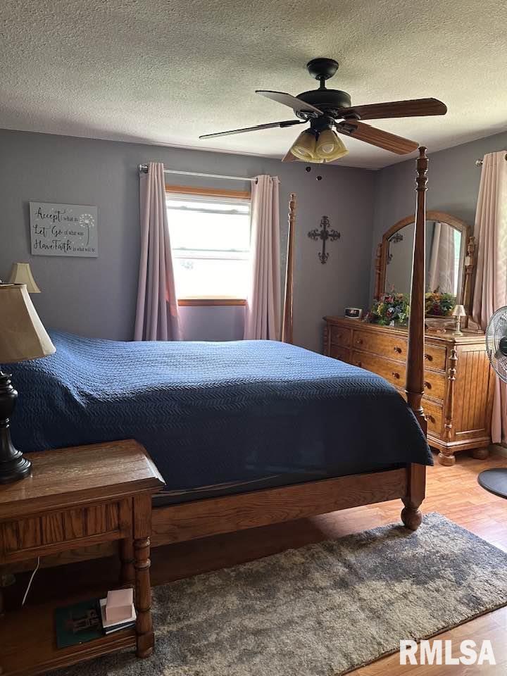 208 Congress Street Golden, IL 62339 - Photo 5 of 13 Gallery Image 5