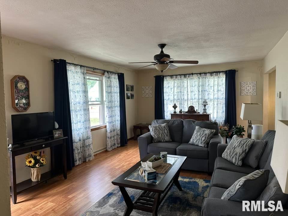 208 Congress Street Golden, IL 62339 - Photo 9 of 13 Gallery Image 9