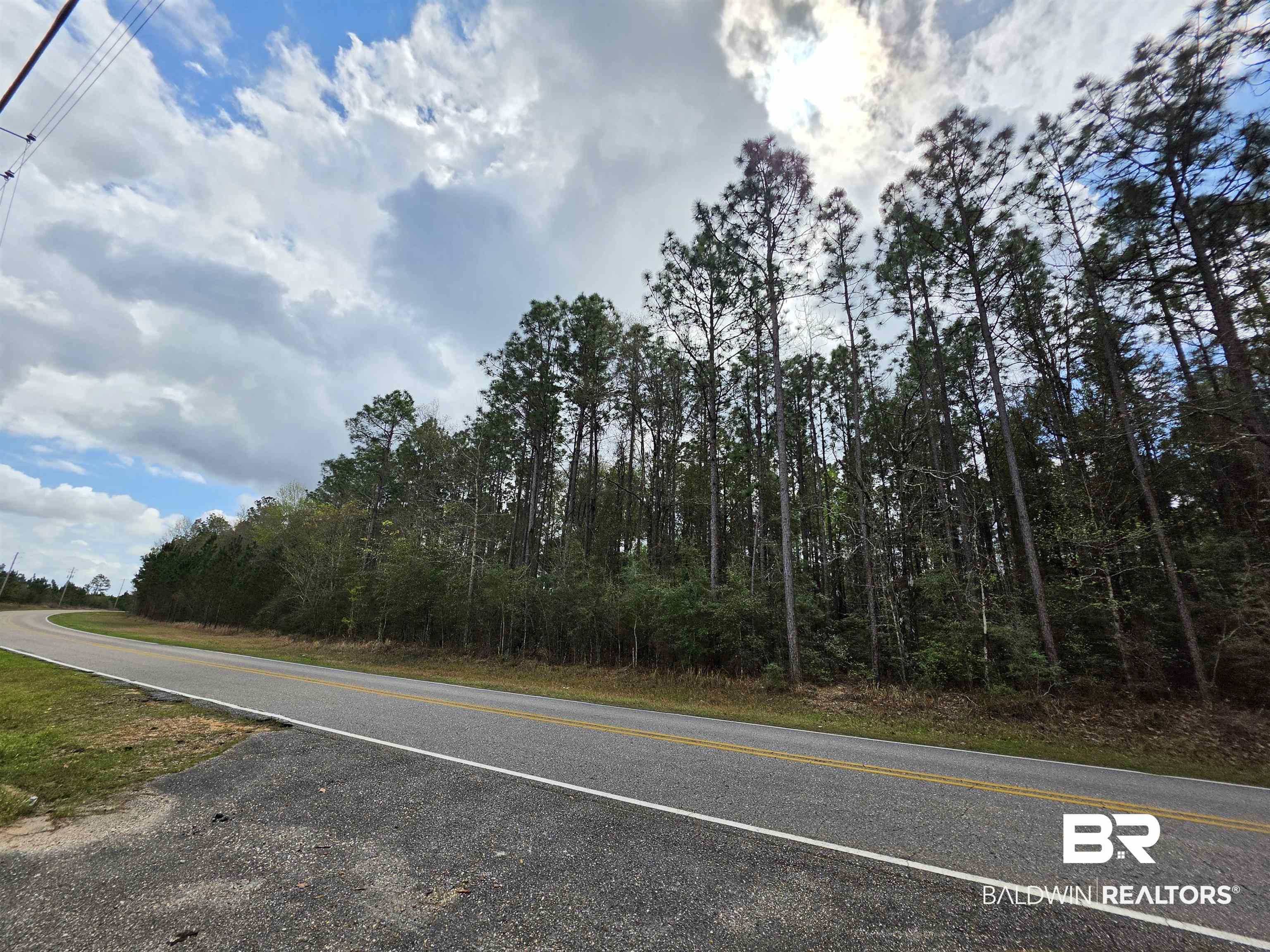 0 Henry Davis Road Chunchula, AL 36521 - Photo 2 of 2