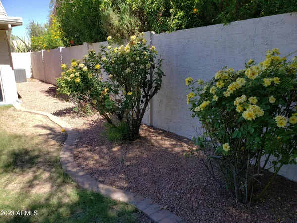 a plant with a plant