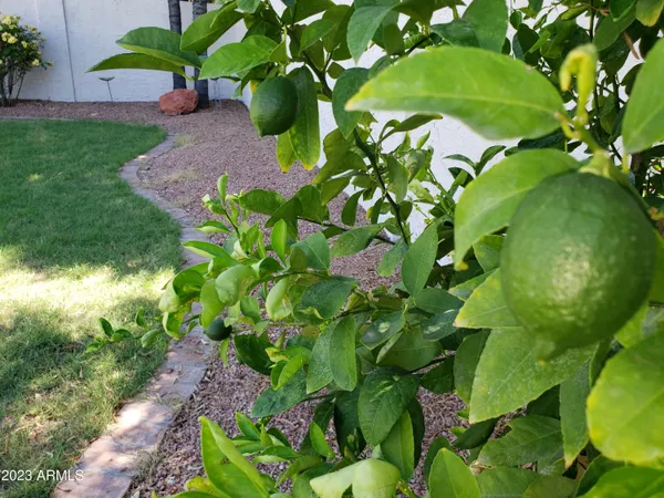 a view of a house with garden and yard