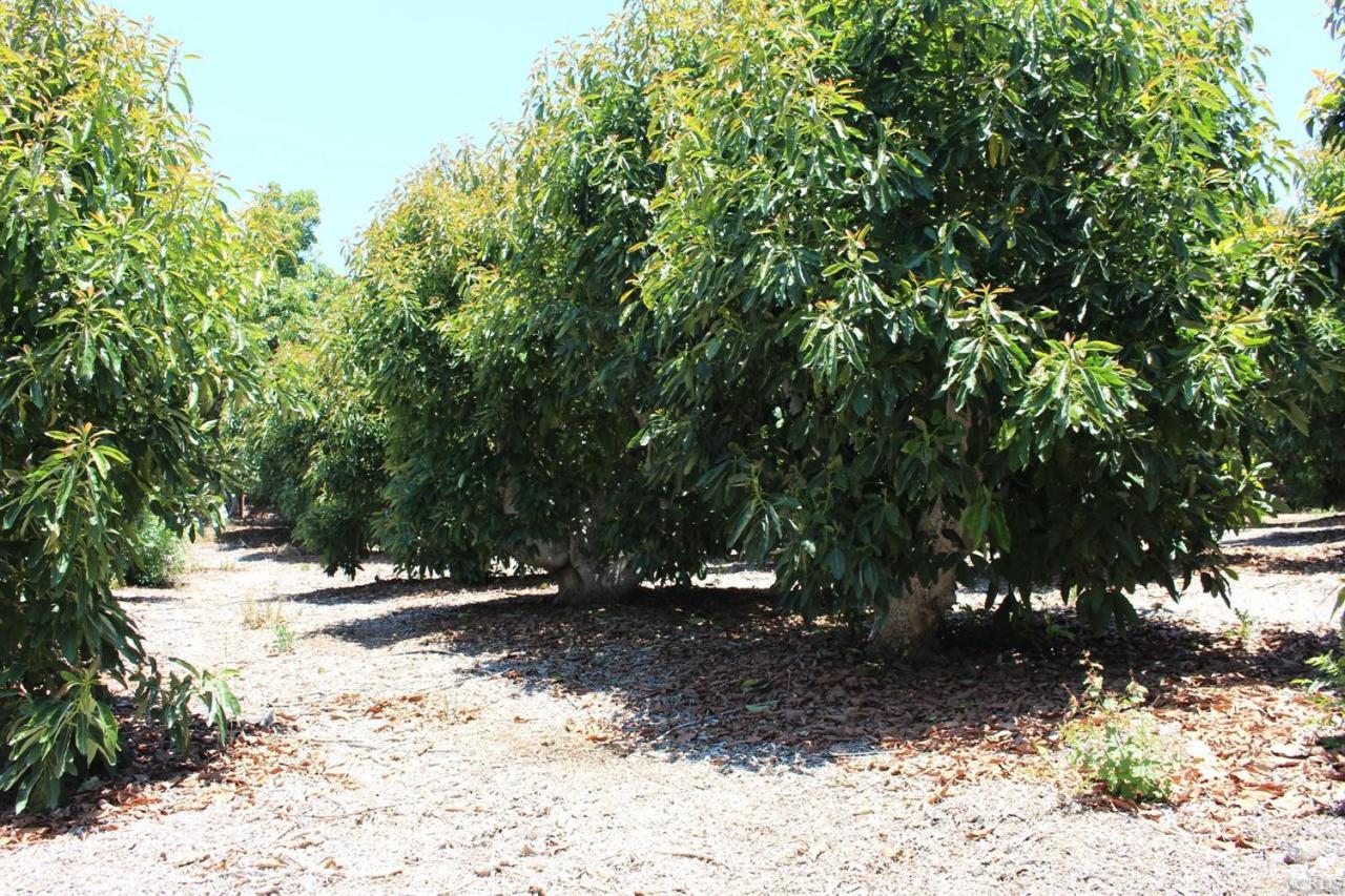 0 Creek Road Ojai, CA 93023 - Photo 3 of 27 Additional Photo