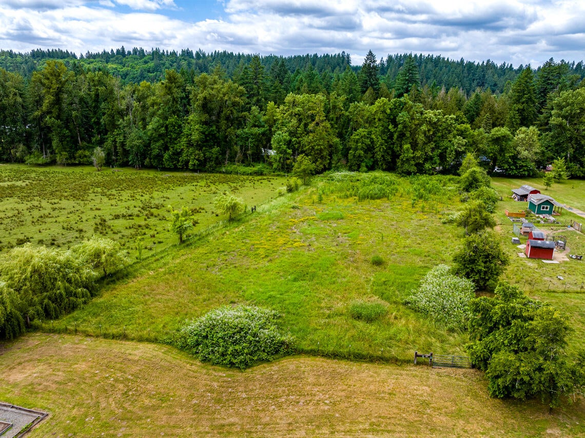 19223 South Mattoon Road Estacada, OR 97023 - Photo 30 of 39 19223 S Mattoon Rd Drone MLS 9