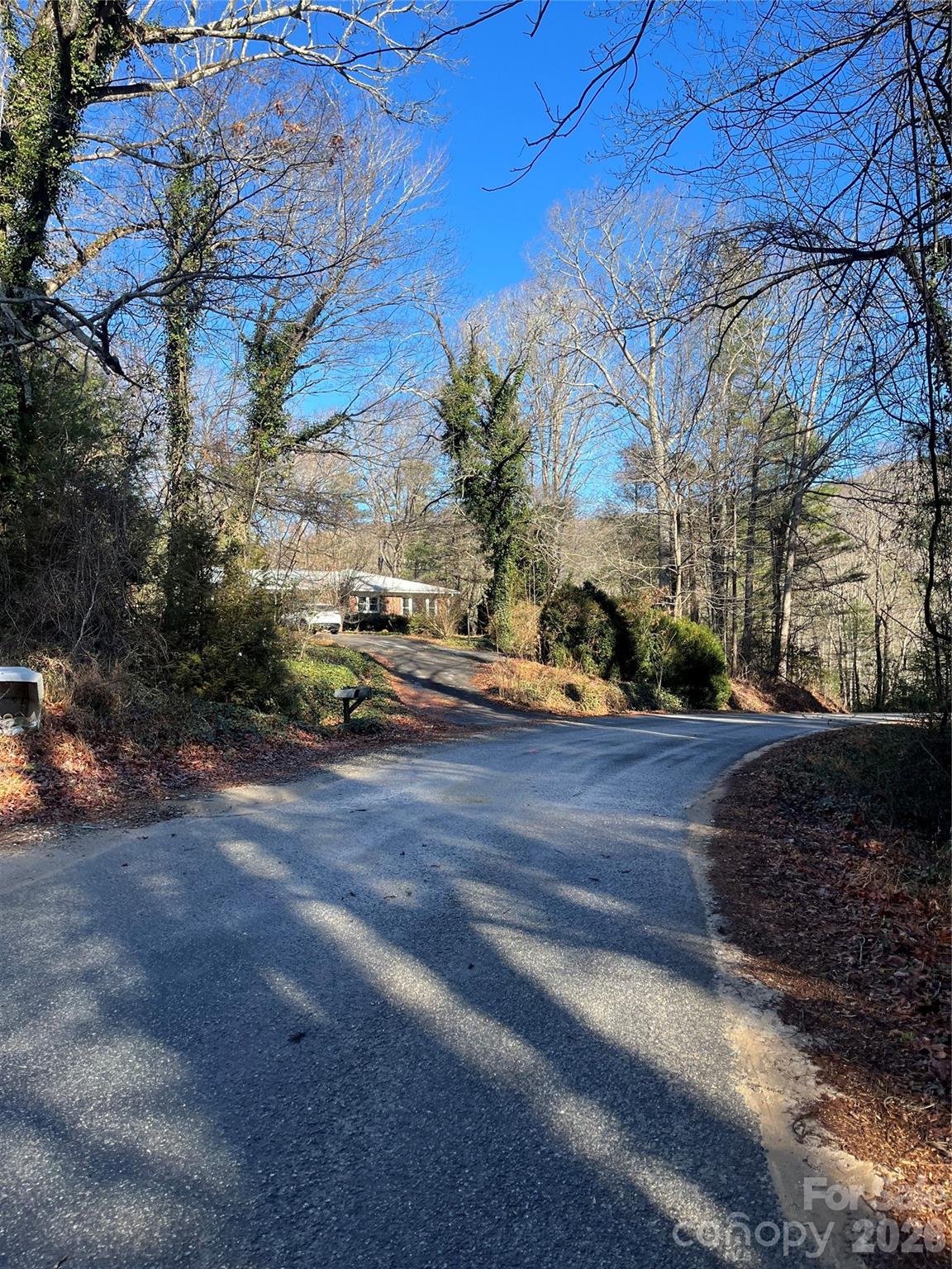 65 Freeman Creek Road Zirconia, NC 28790 - Photo 2 of 4 a green field with lots of trees in front of it