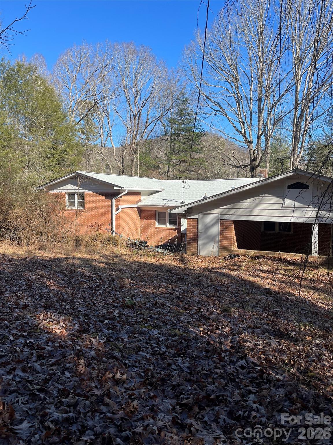 65 Freeman Creek Road Zirconia, NC 28790 - Photo 3 of 4 a view of house with backyard and tree