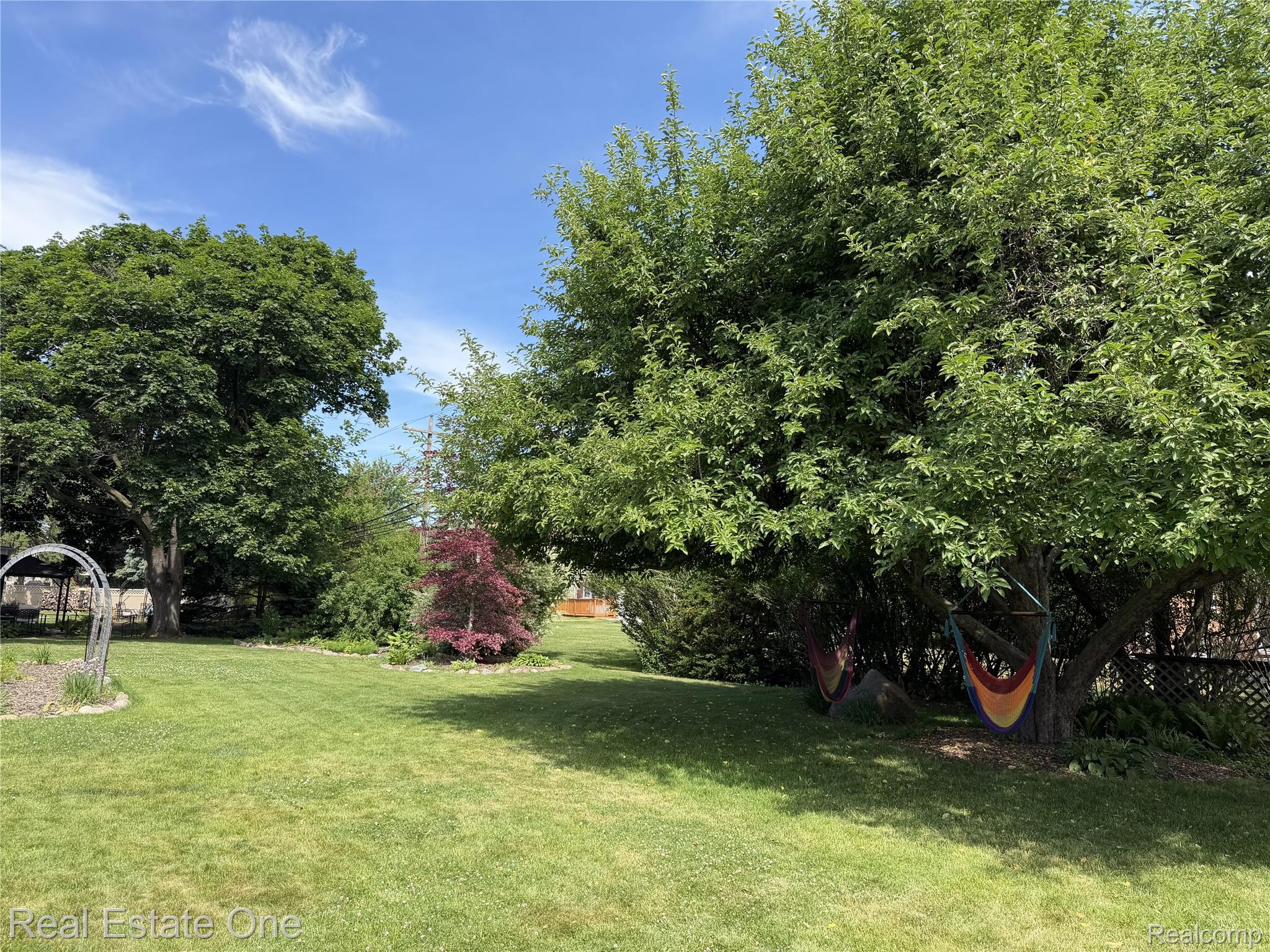 1115 Torpey Road Troy, MI 48083 - Photo 38 of 38 Expansive green lawn framed by mature trees, featuring varied foliage and a distinct red-leafed tree