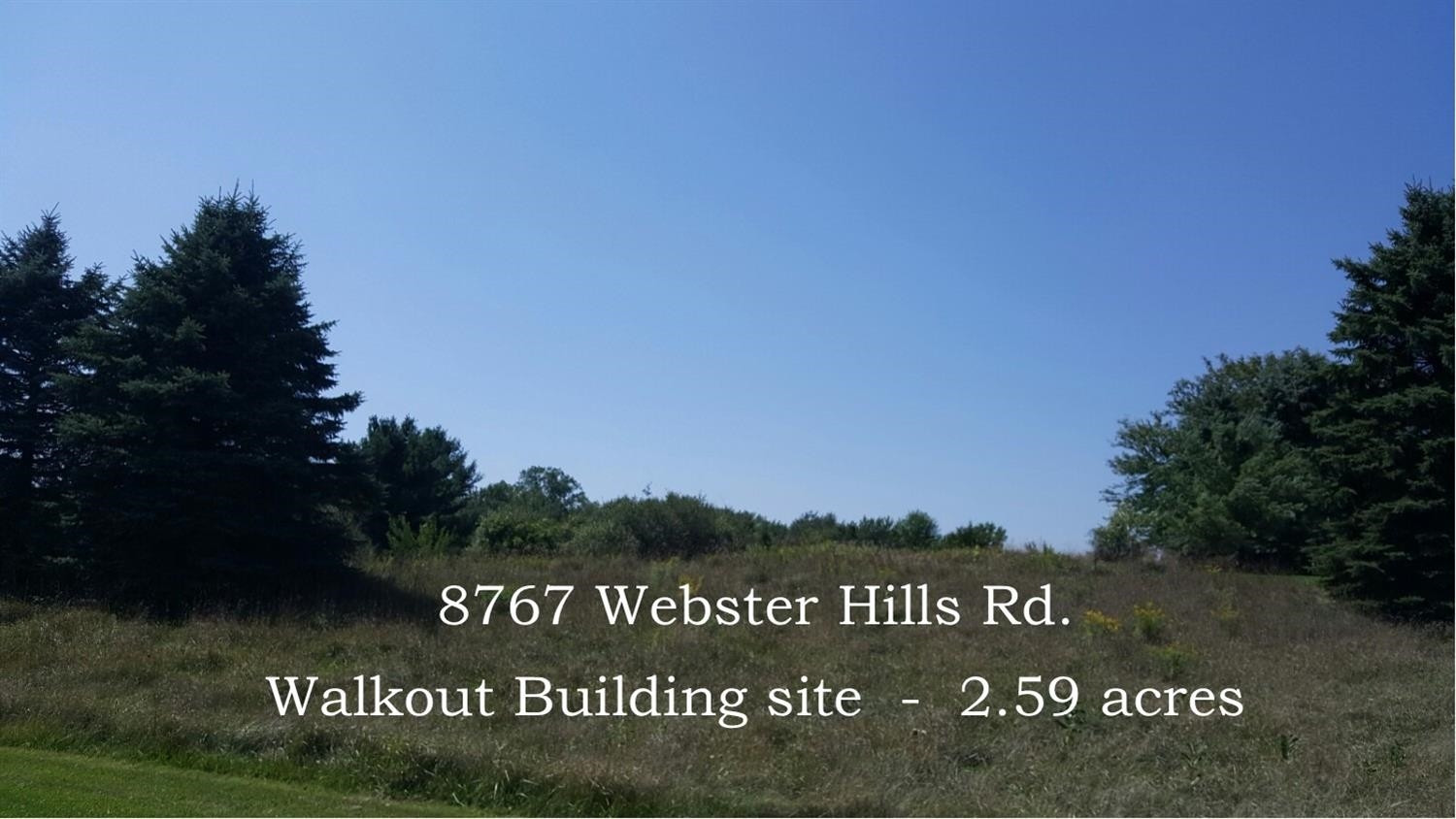 8767 Webster Hills Road Dexter, MI 48130 - Photo 1 of 10 Photo 1
