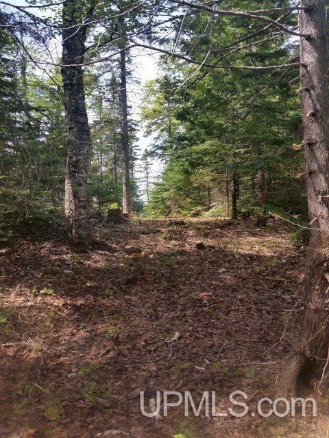 Seven Mile Point Road, Unit 10 Allouez, MI 49805 - Photo 8 of 20