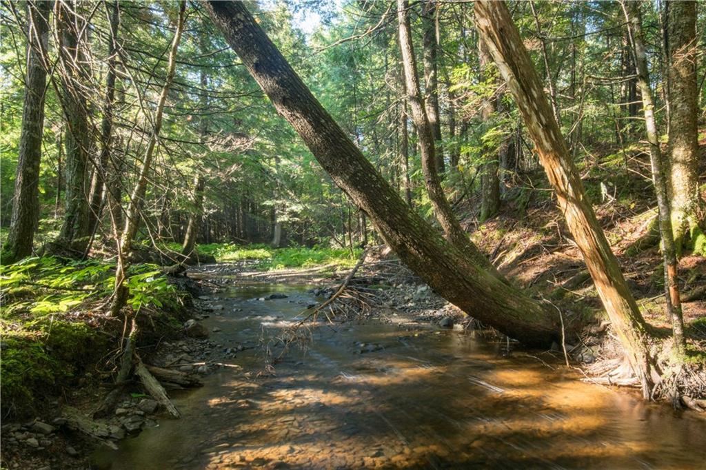 10 Dipper Pond Road Carroll Plt, ME 04487 - Photo 14 of 35 Photo