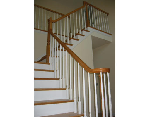 4 Hewitt Circle Needham, MA 02494 - Photo 8 of 11