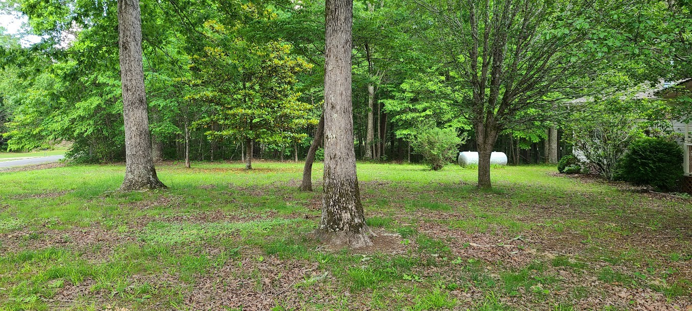 679 Armory Road Monteagle, TN 37356 - Photo 22 of 23 Gallery Image 22