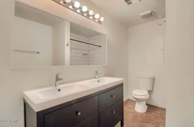 a bathroom with a toilet a sink and mirror