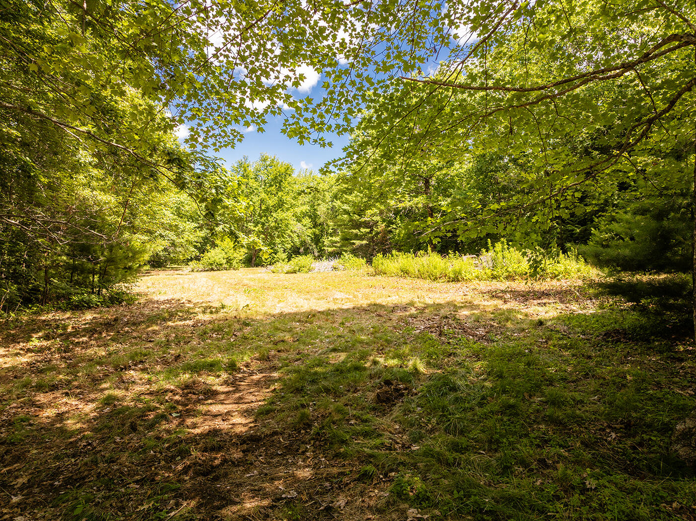 Lot 2 Aldus Shores Road Searsmont, ME 04973 - Photo 5 of 14