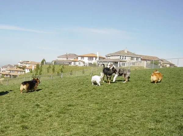 $3,950 | 1636 Avery Road, San Marcos, CA 92078