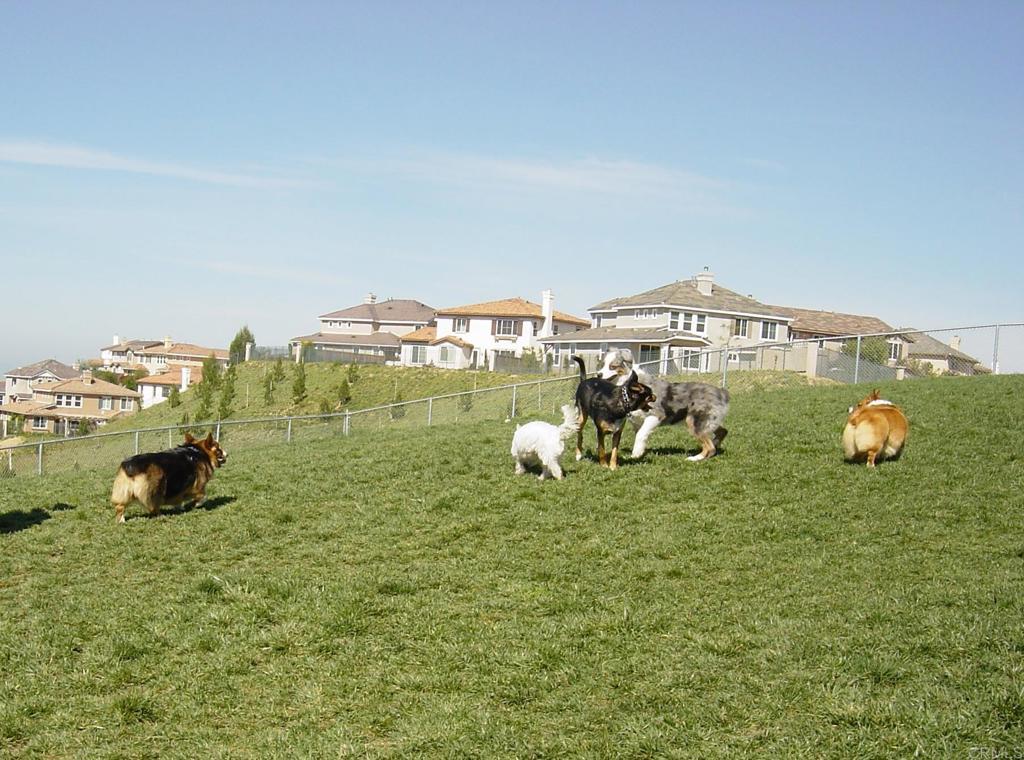 1636 Avery Road San Marcos, CA 92078 - Photo 37 of 37