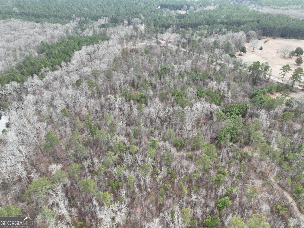 183 Rock Creek Road Flovilla, GA 30216 - Photo 7 of 10 a view of a dry yard