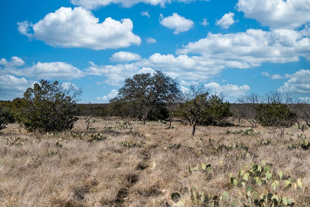 0 County Road Sonora, TX 76950 - Photo 4 of 13 Gallery Image 4