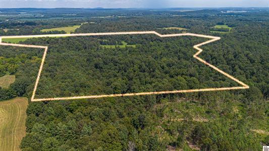 0 Dunlap Road Smithland, KY 42081 - Photo 16 of 23 image009
